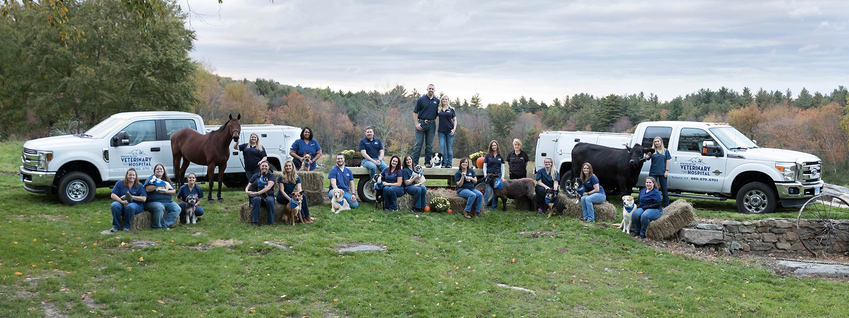 farm call vets near me