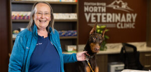 Meet Dr. Catherine North of Fenton River Veterinary Hospital