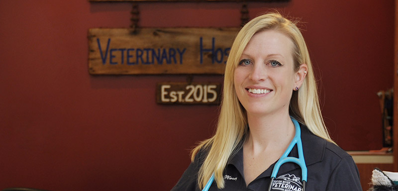 Dr. Heidi Morey Veterinarian at Fenton River Veterinary Hospital