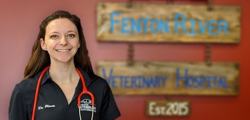 Dr. Sarah Plante Fenton River Veterinary Hospital