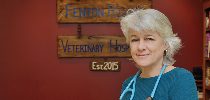Tracy Locke Zulick Veterinarian at Fenton River Veterinary Hospital