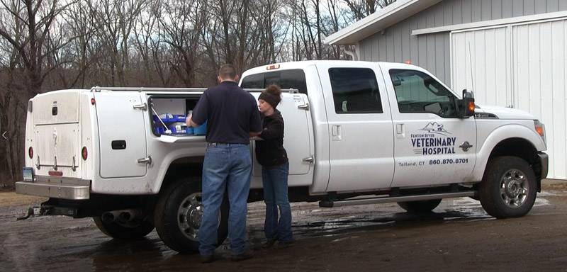 On Farm Equine Calls at Fenton River Veterinary Hospital