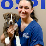 Meet Erin, Veterinary Technician