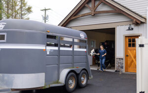 Farm Call Services at Fenton River Veterinary Hospital