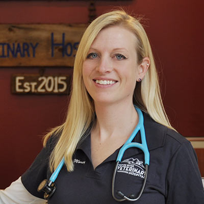 Dr. Heidi Morey Veterinarian at Fenton River Veterinary Hospital