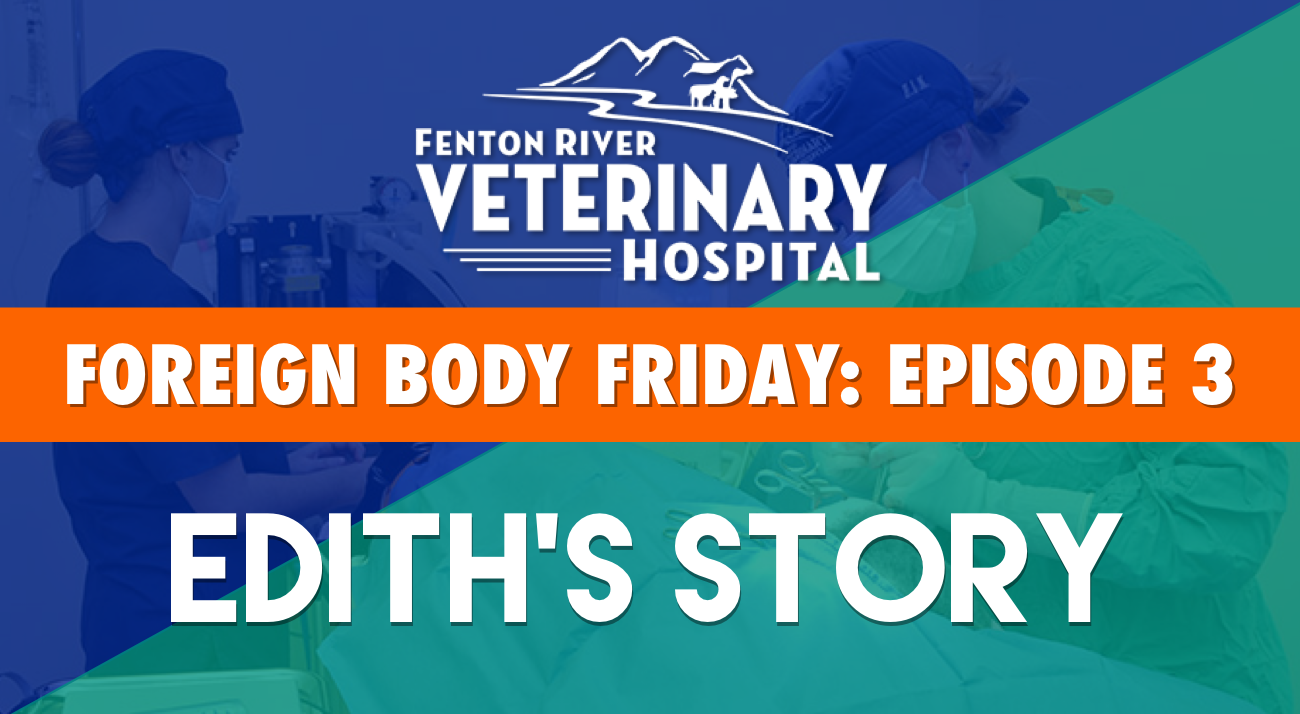 foreign body friday edith's story
